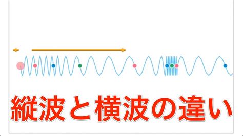 見た目は違えど縦波と横波【スマホで物理】 - YouTube