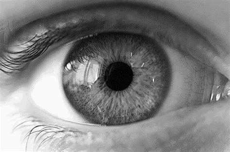 An animation simulation of the human eye pupil is expanding | Expanding ...