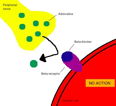 Mecanismo de ação - Mechanism of action - abcdef.wiki