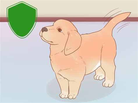 3 Cara untuk Membeli Anak Anjing Golden Retriever - wikiHow