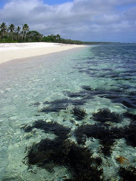 Unspoiled beach of Tonga stock photo. Image of clarity - 2271326 ...