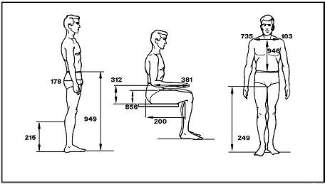 ANTHROPOMETRY AND BIOMECHANICS | Human figure sketches, Body reference ...