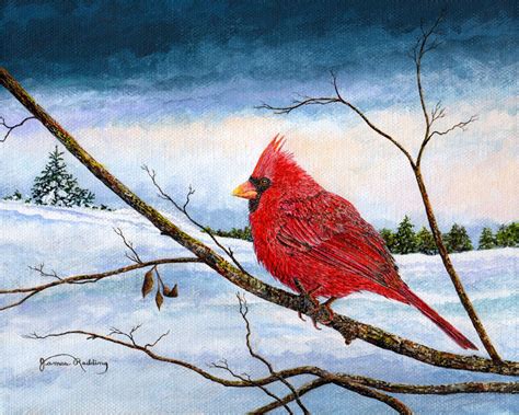 Cardinal Bird Snow Painting Winter Landscape Red Cardinal Nature Art Winter Scene Snow Scene ...