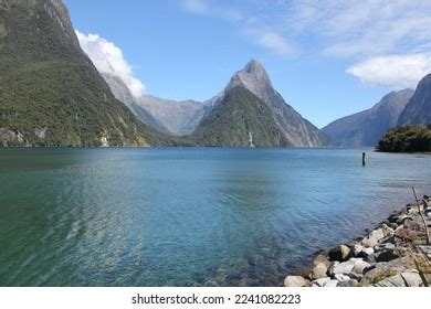 824 Milford Sound Wildlife Images, Stock Photos & Vectors | Shutterstock