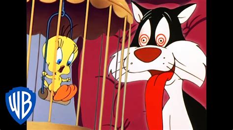 Top 100+ Best sylvester and tweety cartoons - Tariquerahman.net