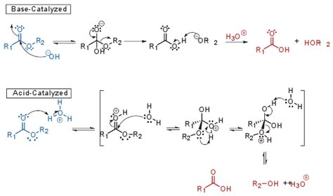 Ester Hydrolysis - J&K Scientific LLC