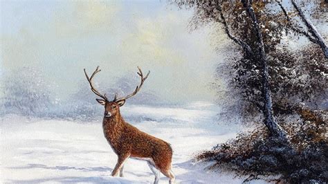 Winter Deer Wallpaper Backgrounds (72+ images)