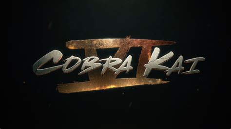 Cobra Kai Season 6 Teaser Trailer Previews Final Season of Netflix Hit