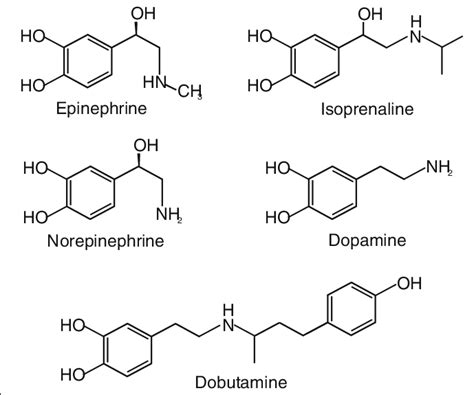 Noradrenaline Structure