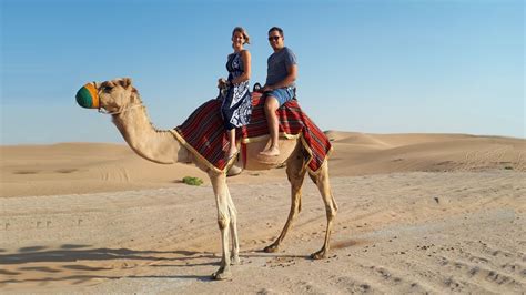 Desert Safari Abu Dhabi | Desert Tours in Abu Dhabi