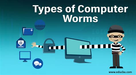 Types of Computer Worms | List of 5 Types of Computer Worms