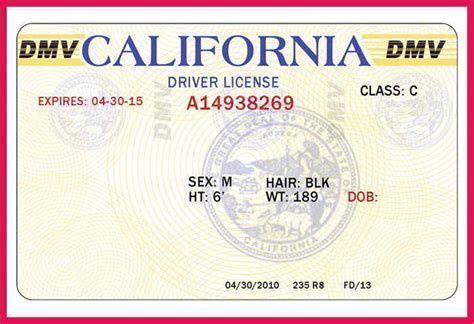 Texas drivers license barcode generator - plmset