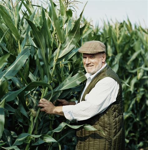 Native American Method for Growing Corn