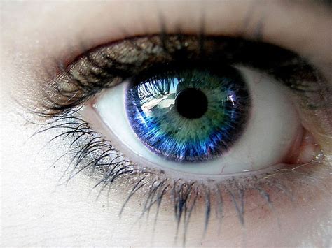 Free download | HD wallpaper: human eye, Eyes, Eyelashes, The pupil ...