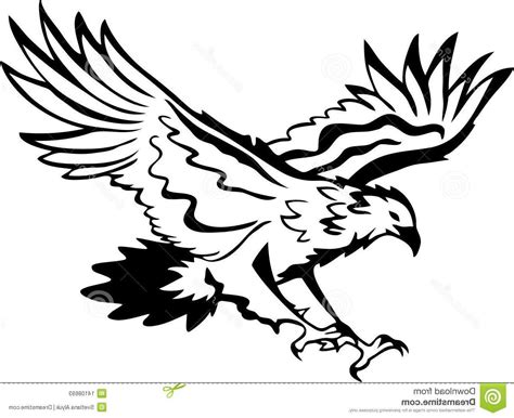 Harpy Eagle Drawing | Free download on ClipArtMag