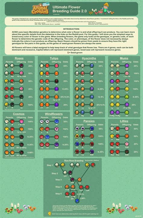 Acnh Breeding Flowers Layout: A Comprehensive Guide For 2023 - Maantje