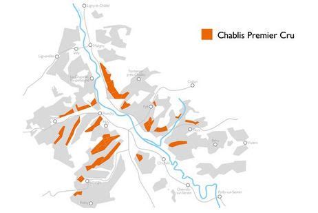 Chablis Premier Cru - The wines of Chablis