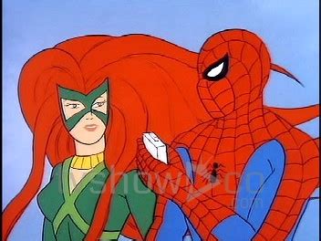 Spider-Man 1981 Animated Series Complete DVD Set – TVShowCo.com