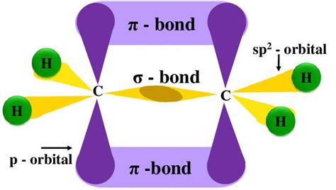 draw diagram showing overlapping of orbital in the formation of ethene molecule - Brainly.in