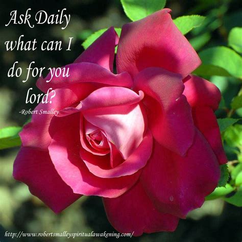 Ask Daily..."What can I do for you Lord? | Pretty flowers, Flowers, Red ...