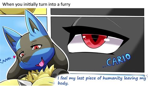 humanity_irl : r/furry_irl