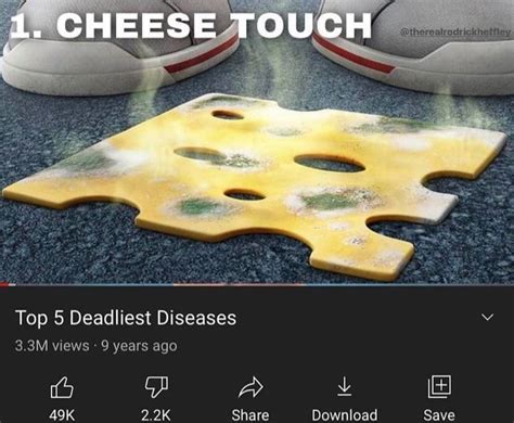 Top 5 Deadliest Diseases | Cheese Touch | Know Your Meme