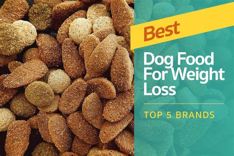 Best Dog Food For Weight Loss: Top 5 Brands