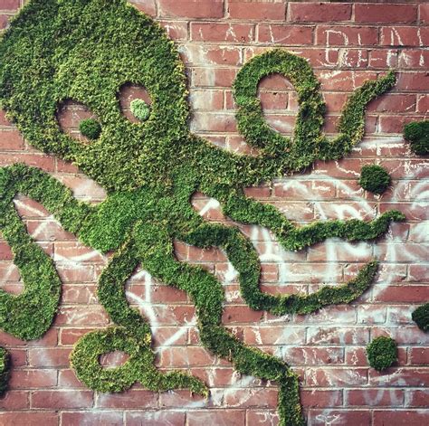 The Art of Moss Graffiti and How to Do it Yourself