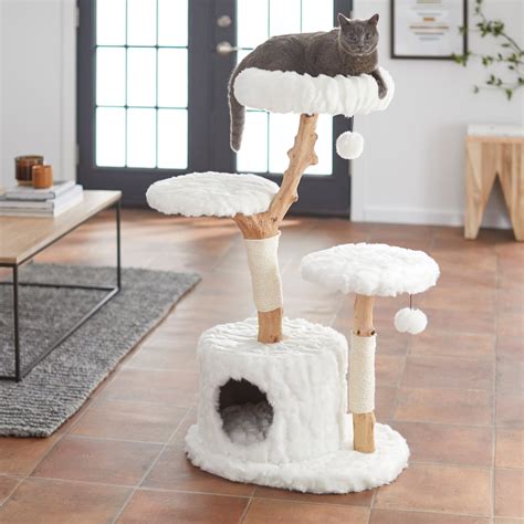 FRISCO Natural Wood Modern Cat Tree with Toy, Ivory, Large - Chewy.com