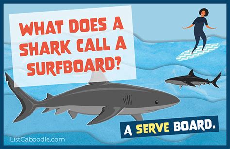 101+ Best Shark Jokes For Kids (They're Jawsome!) | ListCaboodle