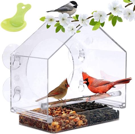 The Best Bird Feeder Deals on Amazon Right Now - Birds and Blooms