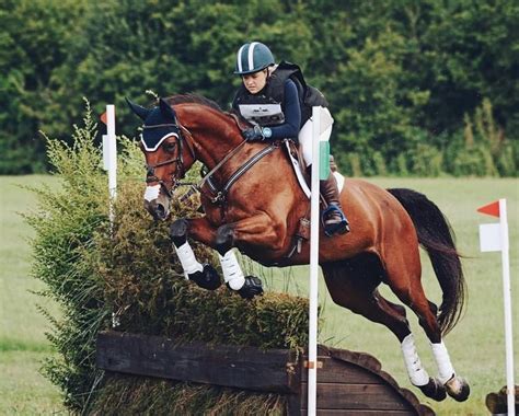 pinterest || pacificghosts | Horses, Eventing cross country, Horseback ...