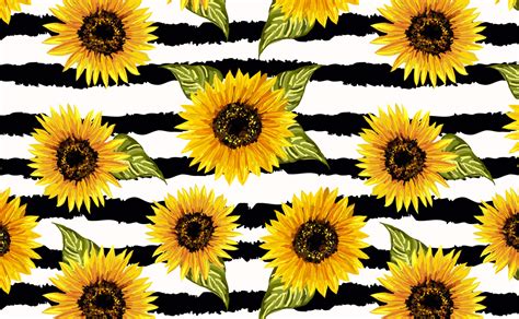 Vibrant sunflower on black white contrast background Wallpaper for Walls | Bright Stripes