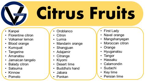 List of All Citrus Fruits | Citrus Fruits Name With Pictures - GrammarVocab