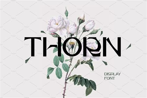 Thorn Font | Fonts ~ Creative Market