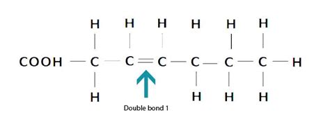 Monounsaturated Fats Structure