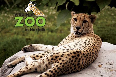 Virginia Zoo - Virginia Beach Visitors Guide