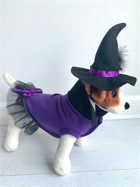 Witch Costume Dog Halloween Costume Dog Witch Costume by | Etsy