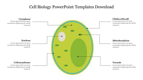 Download Free Cell Biology PPT Templates and Google Slides