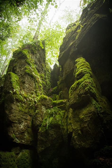 Collingwood Scenic Caves Camping Places, Collingwood, Yearning, Caves, Peninsula, Bruce, Amazing ...