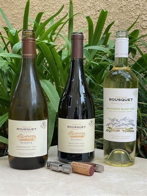 Behind the Cork™ - Wines of Domaine Bousquet, Part 1 — EverWonderWine?