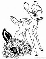 Bambi Coloring Pages 4  Disneyclipscom sketch template