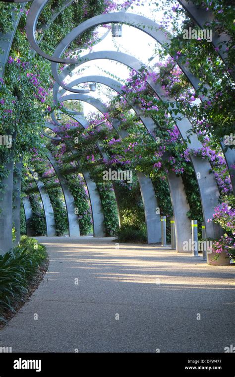 At Southbank Parklands Stock Photo - Alamy