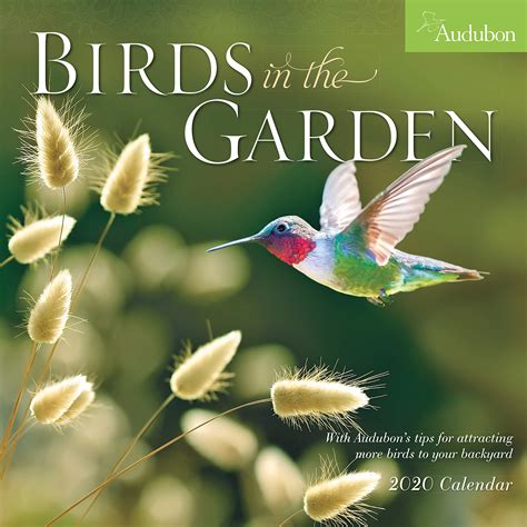 Audubon Birds in the Garden Wall Calendar 2020 | %site_title%