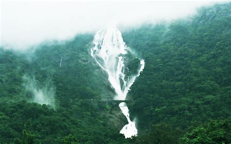 Monsoon Trek to Dudhsagar Waterfall in Goa - Travel Adventures Goa