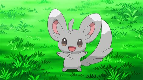 Emolga or Minccino? - Pokémon - Fanpop