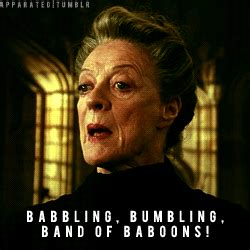 Professor Mcgonagall - Professor Mcgonagall Photo (28966452) - Fanpop