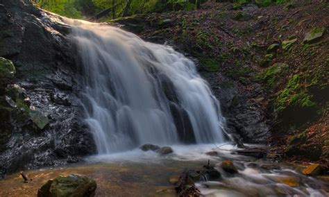 Uvas Canyon Waterfall Hike, can't wait to hike this with my hubs this ...