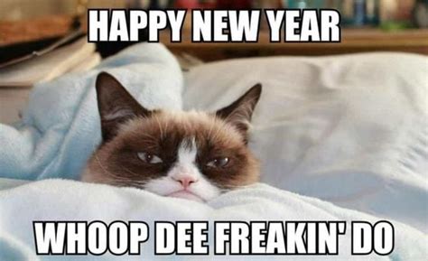 The Best 2024 New Year Memes - Lola Lambchops