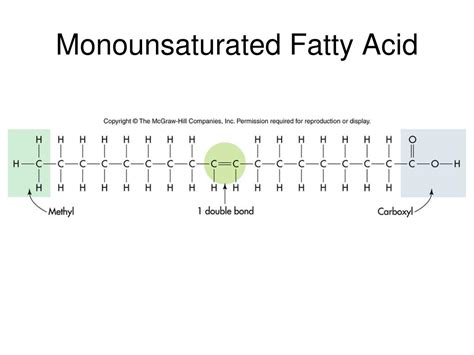 PPT - Chapter 6: Lipids PowerPoint Presentation, free download - ID:6913007